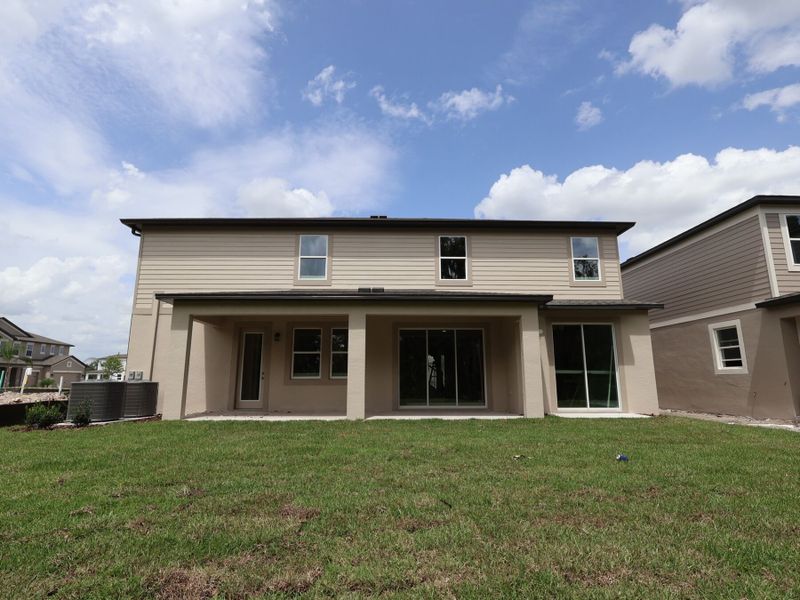 Back Exterior