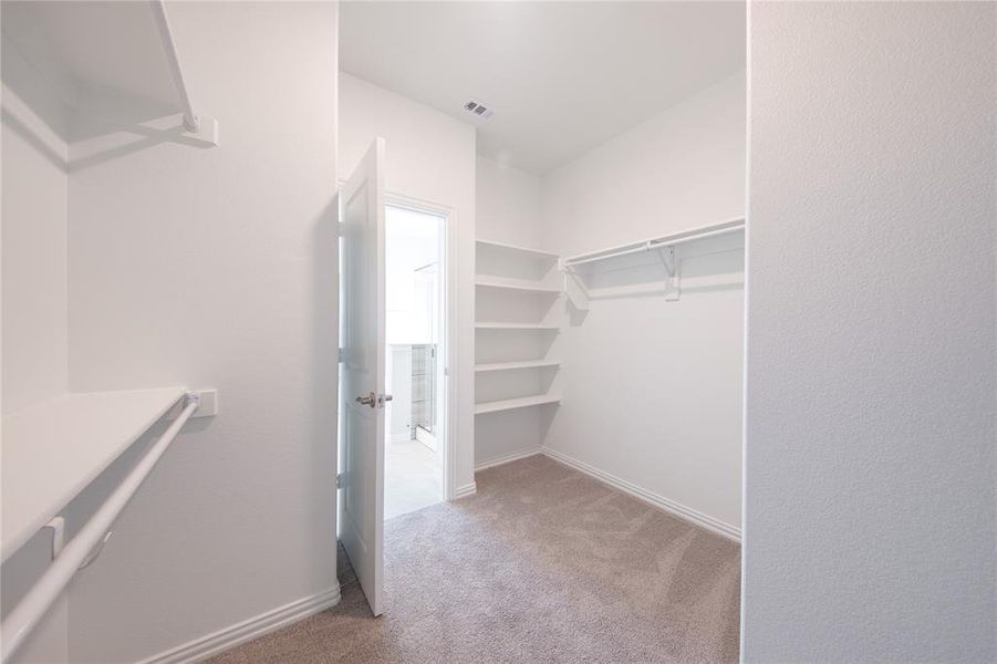 Image 28 of a home in Lake Pointe: Lake Pointe at Paloma Creek.