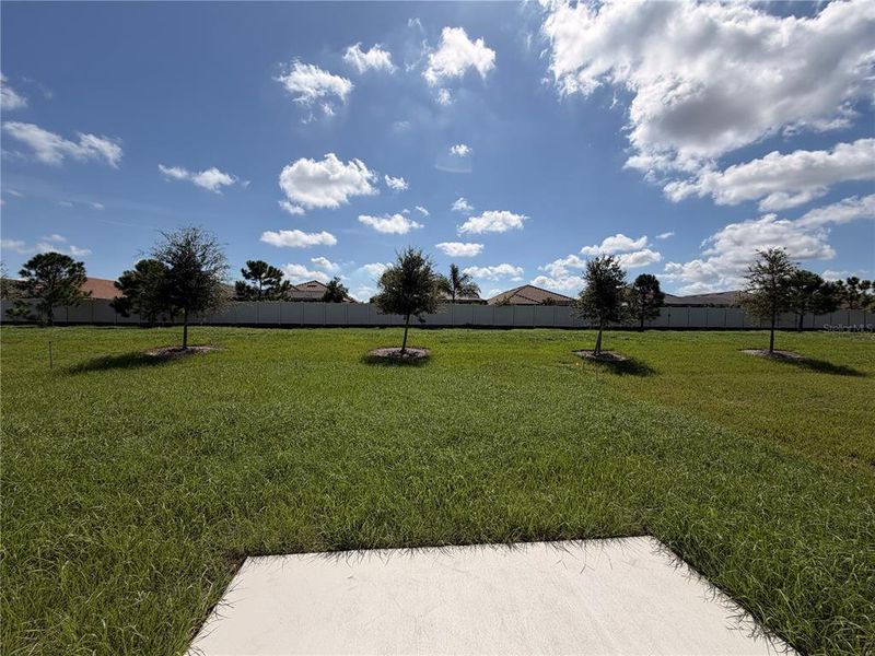 Natural landscape and outdoor views near Mandarin Grove in Palmetto (Image 35). Natural landscape and outdoor views near Mandarin Grove in Palmetto (Image 35).