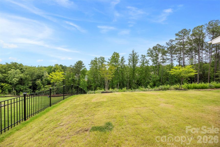Natural landscape and outdoor views near in Charlotte (Image 33). Natural landscape and outdoor views near in Charlotte (Image 33).