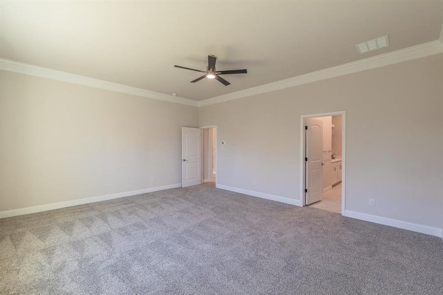 Carpeted spare room featuring ceiling fan and ornamental molding