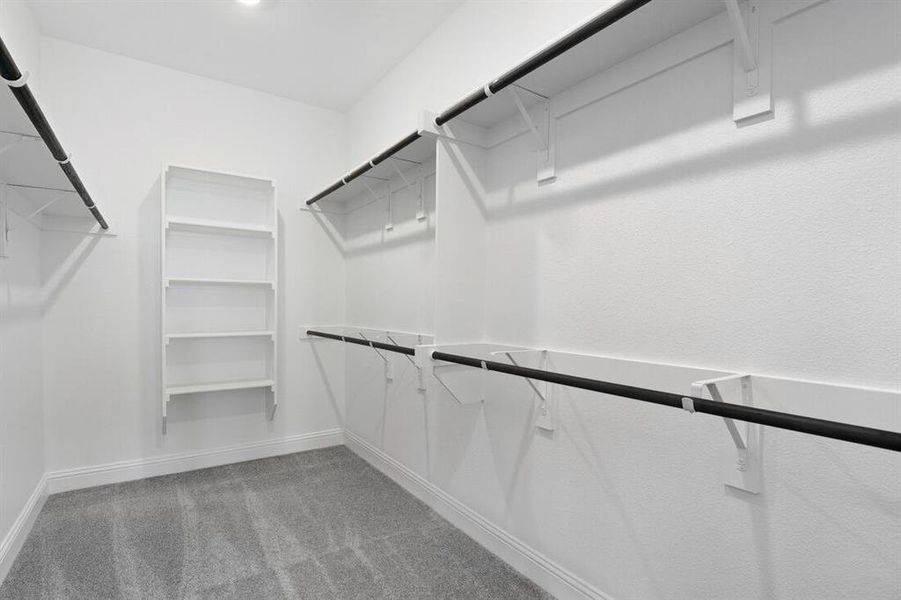 1008 Rainshower ~ Ready Now 1008 Rainshower ~ Ready Now