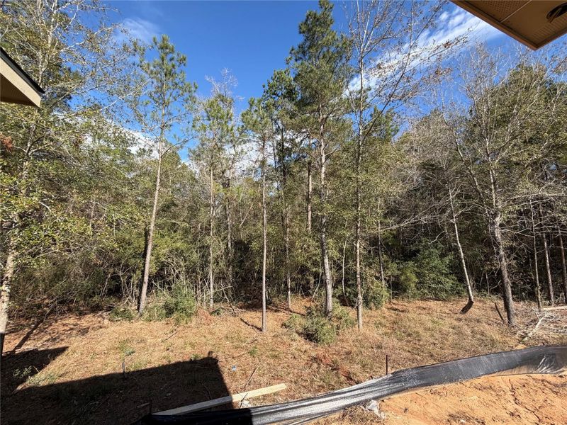 View of wooded 1.7 acre homesite from expansive covered patios