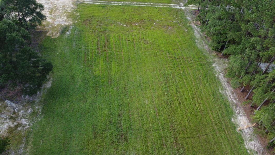 Natural landscape and outdoor views near  in Cross (Image 18).