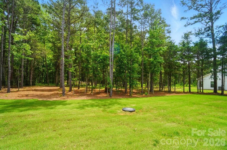 Natural landscape and outdoor views near Fairview Forest in Indian Trail (Image 40).