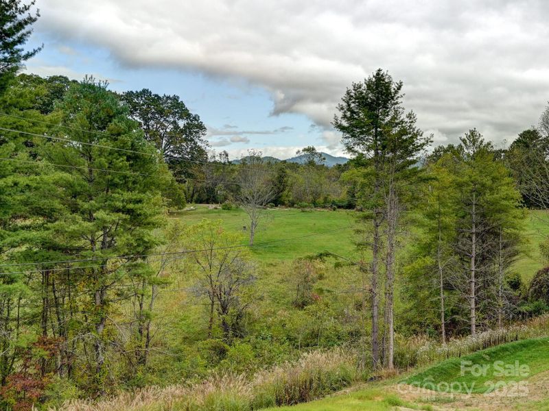 Natural landscape and outdoor views near  in Weaverville (Image 19).