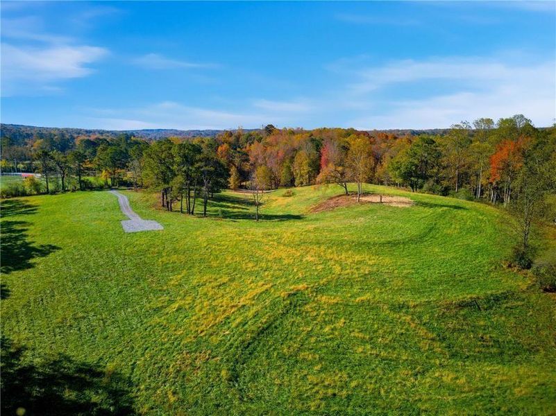 Natural landscape and outdoor views near  in Alpharetta (Image 6).