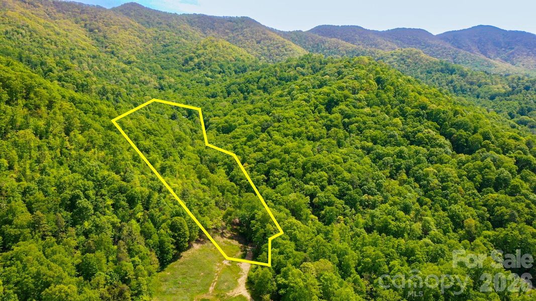 Natural landscape and outdoor views near  in Weaverville (Image 18).