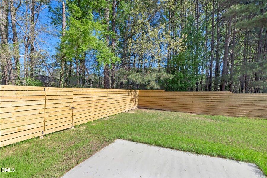 125 Davis St back yard 125 Davis St back yard