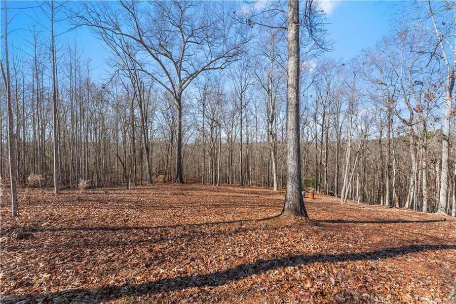 Natural landscape and outdoor views near in Dahlonega (Image 49). Natural landscape and outdoor views near in Dahlonega (Image 49).