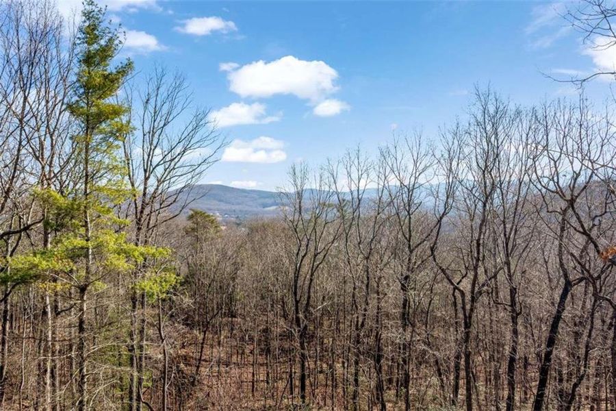 Natural landscape and outdoor views near  in Ellijay (Image 26).
