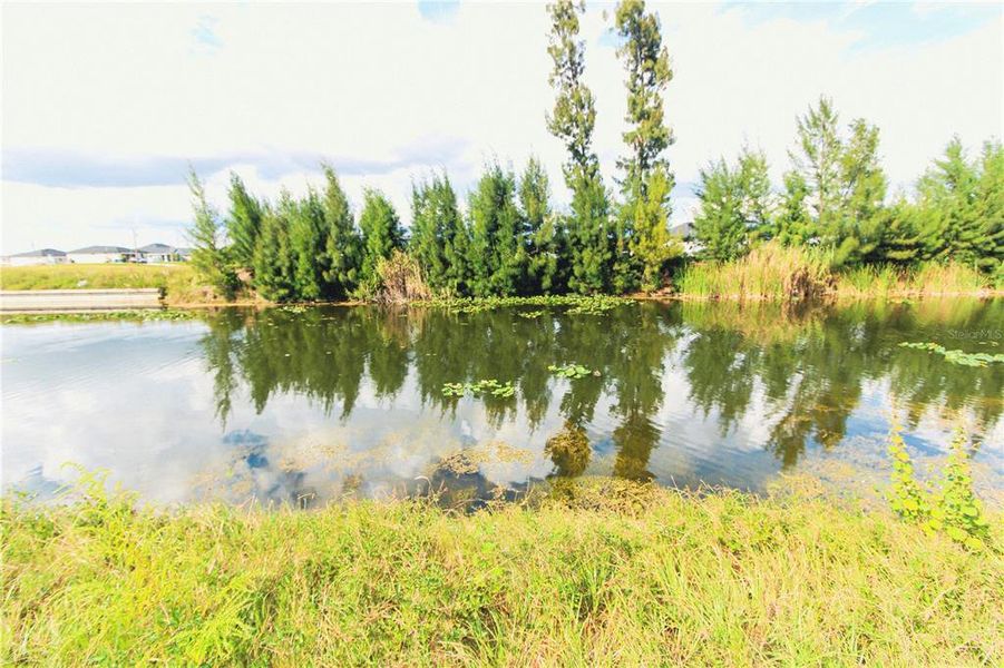 Natural landscape and outdoor views near  in Cape Coral (Image 18).