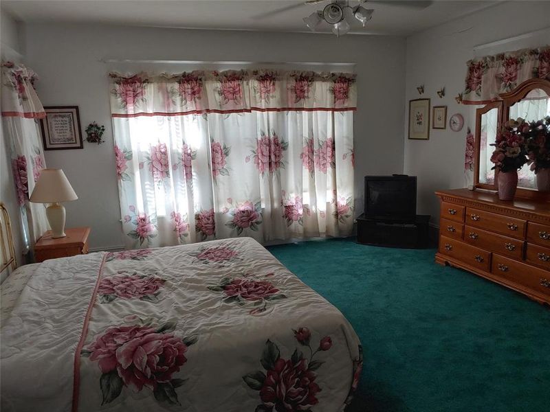Room featuring a ceiling fan, teal carpeting, and white walls Room featuring a ceiling fan, teal carpeting, and white walls