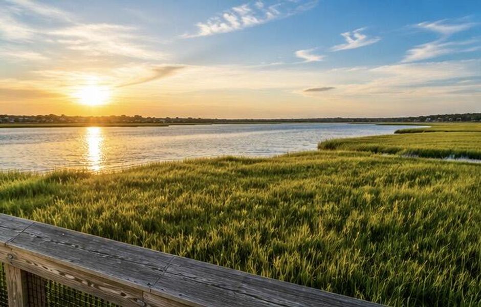 Natural landscape and outdoor views near  in Charleston (Image 41).