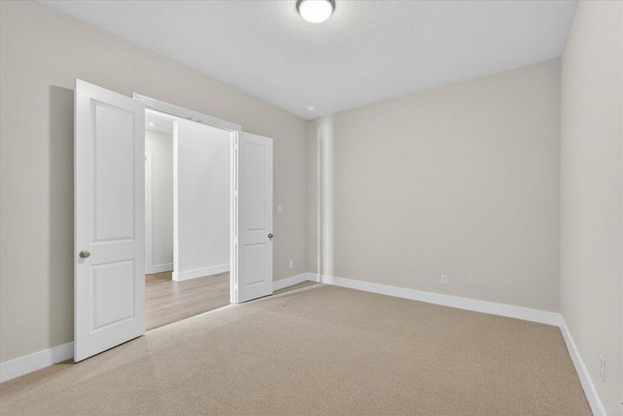 Entertainment Room