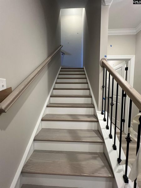 Spacious, unfurnished interior of a new home in The Cove, Sumter (Image 24).