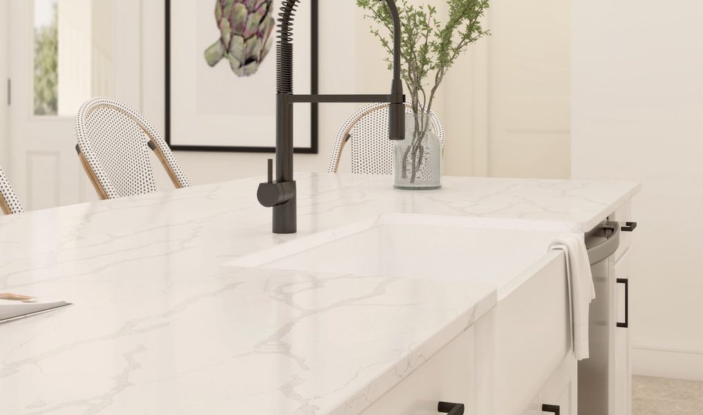 White apron-front sink with matte black fixtures throughout kitchen