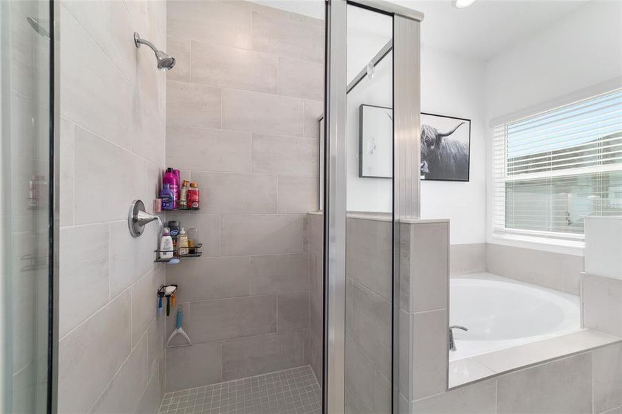 Furnished interior view inside a new home in Millwood, Ocala (Image 59).