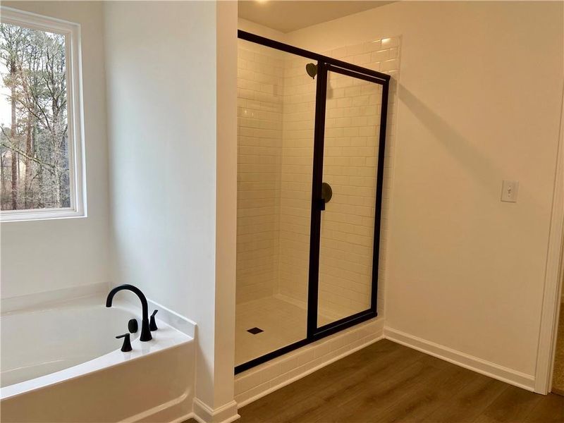 Image 42 of a home in Arbors at Richland Creek. Image 42 of a home in Arbors at Richland Creek.