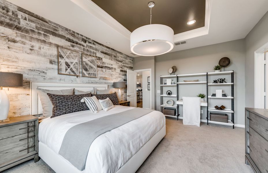 Spacious owner's suite with tray ceiling