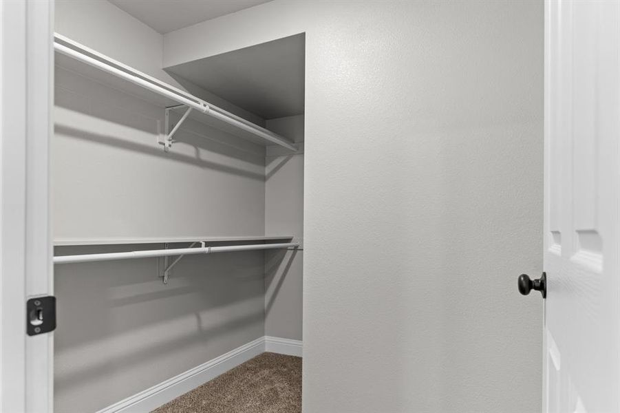 Spacious closet featuring carpet flooring Spacious closet featuring carpet flooring