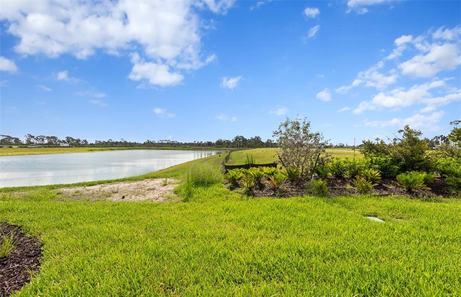 Natural landscape and outdoor views near BeachWalk by Manasota Key in Englewood (Image 33). Natural landscape and outdoor views near BeachWalk by Manasota Key in Englewood (Image 33).