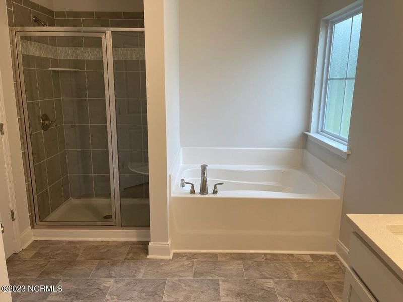 Furnished interior view inside a new home in Summer Place, Grimesland (Image 7).