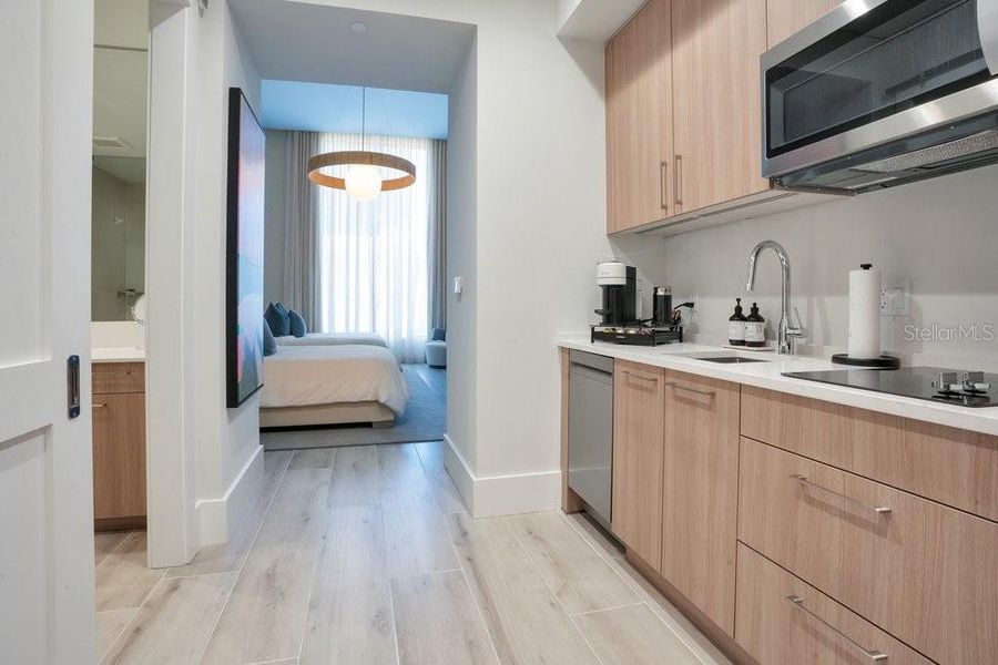 Furnished interior view inside a new home in , St. Petersburg (Image 20).