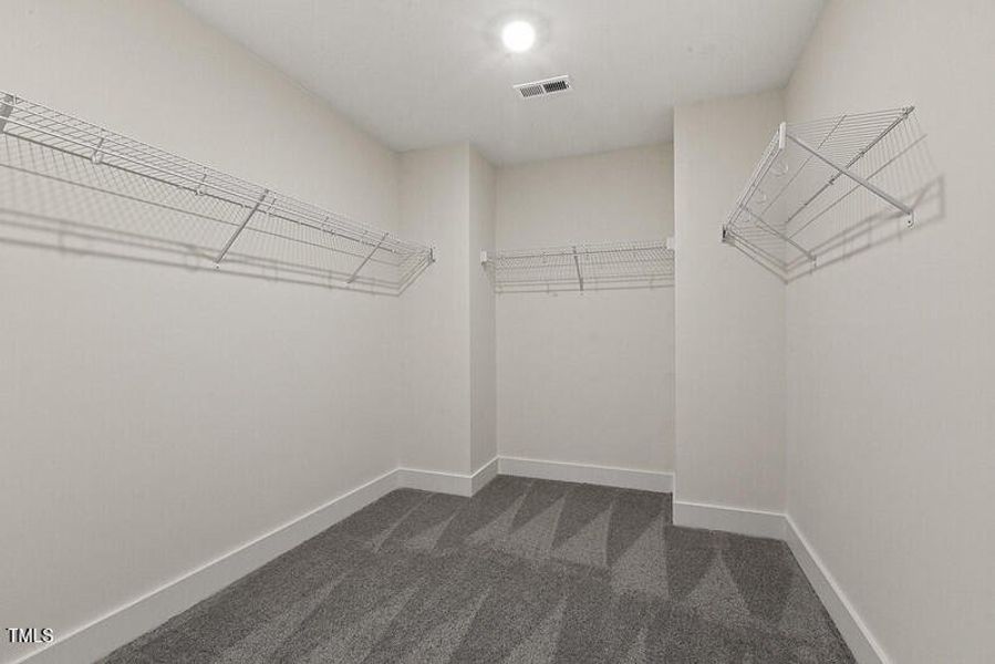 54564021483_8fb5679189_c