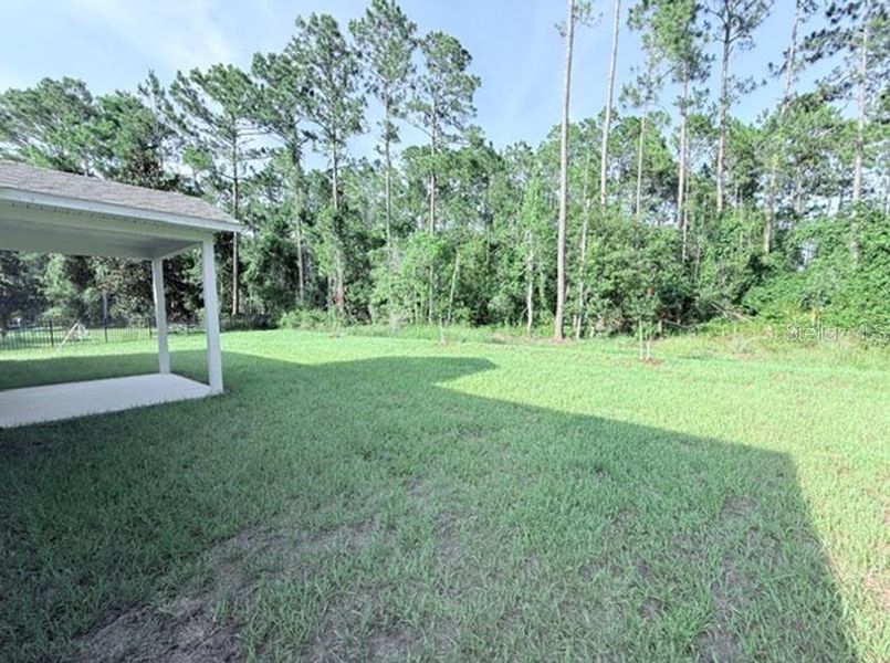 Exterior details and patio area of a home in Palm Coast, Palm Coast (Image 13).