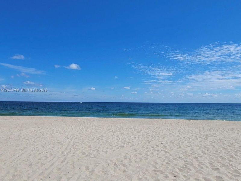 Natural landscape and outdoor views near  in Pompano Beach (Image 63).