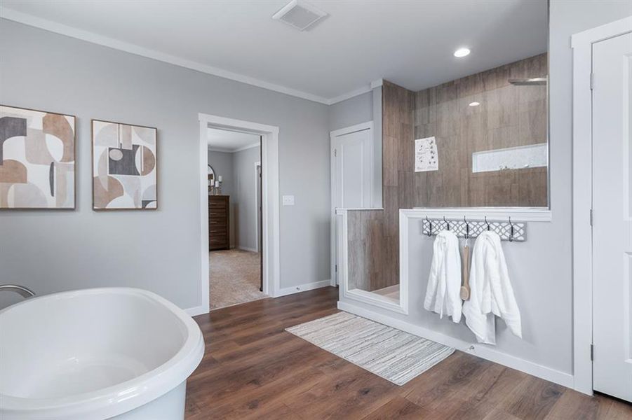 Furnished interior view inside a new home in , Kemp (Image 5).