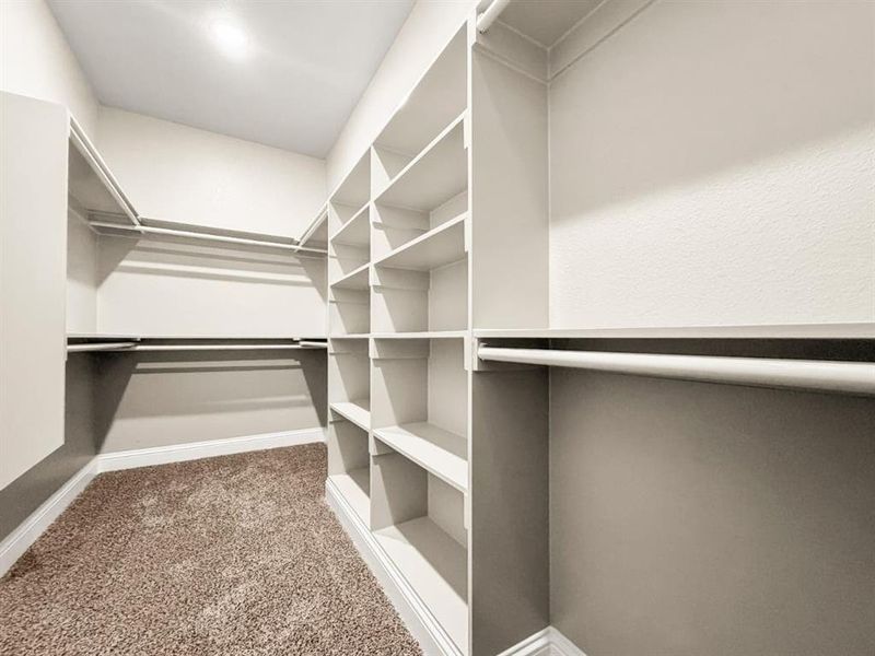 Walk in closet featuring light carpet