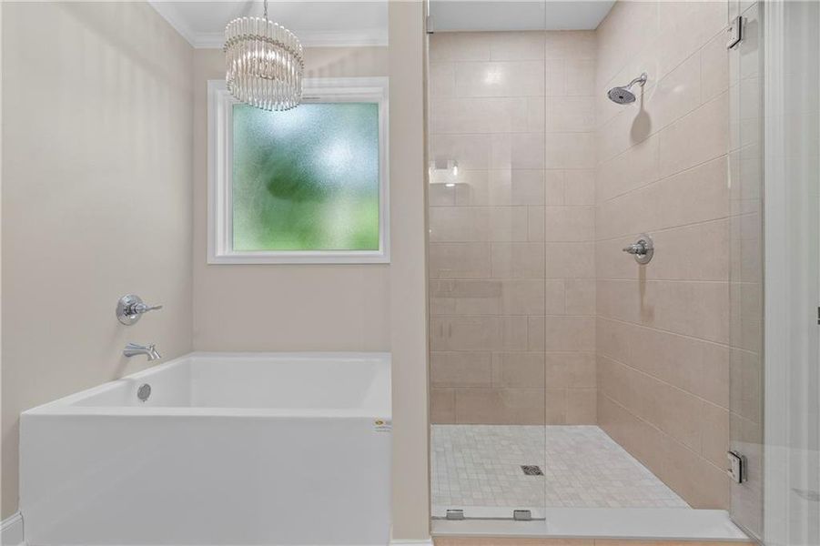 Furnished interior view inside a new home in , Nicholson (Image 8).