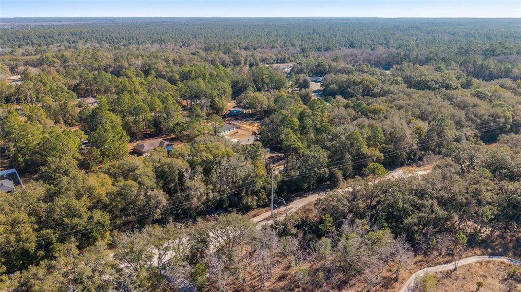 Natural landscape and outdoor views near  in Ocala (Image 45).