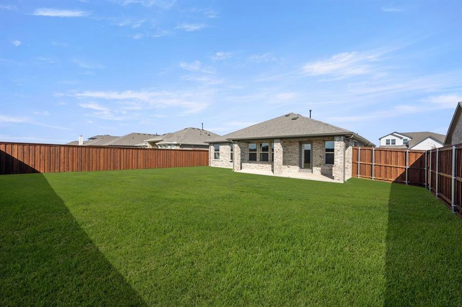 725 Scarlet Sage- Back-1 725 Scarlet Sage- Back-1