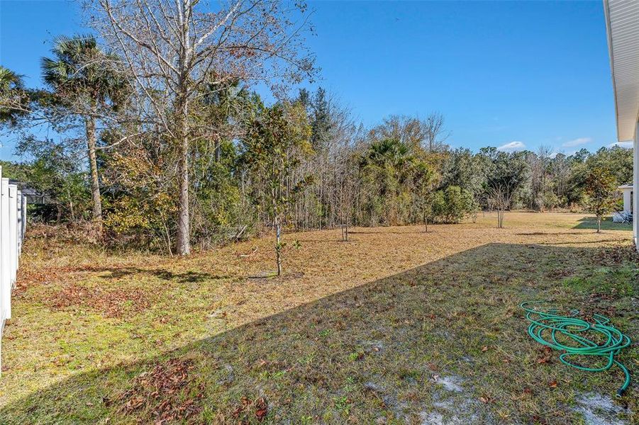 Natural landscape and outdoor views near in Palm Coast (Image 44). Natural landscape and outdoor views near in Palm Coast (Image 44).