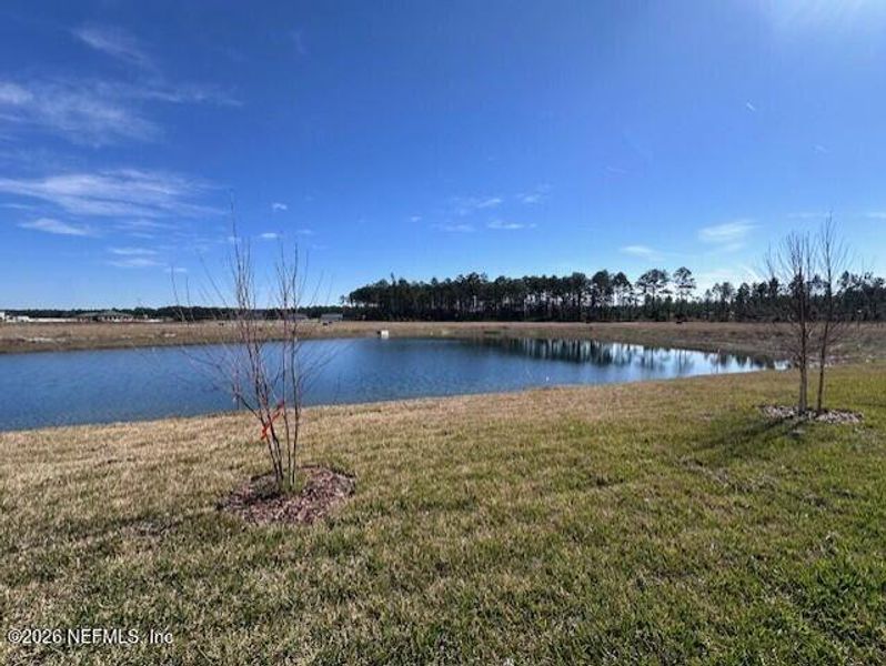 Natural landscape and outdoor views near  in St. Augustine (Image 9).