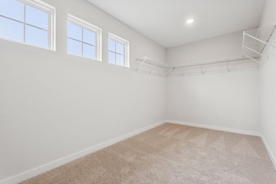 A room with a carpet and windows.