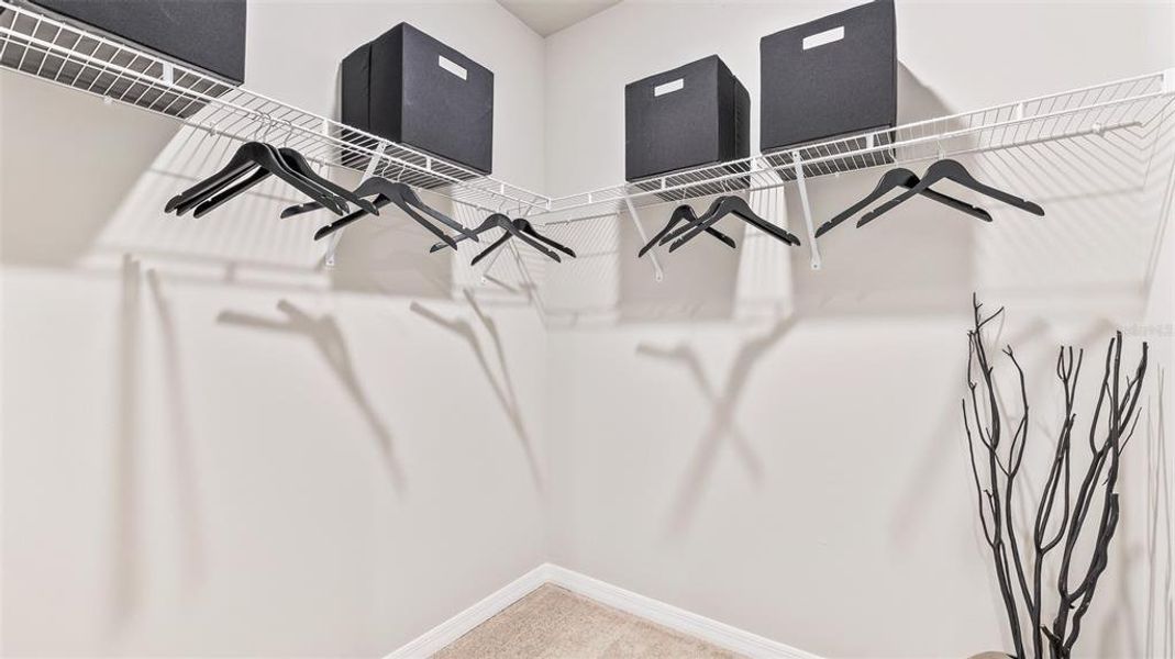 Spacious, unfurnished interior of a new home in Cove at West Port - Express, Port Charlotte (Image 20). Spacious, unfurnished interior of a new home in Cove at West Port - Express, Port Charlotte (Image 20).