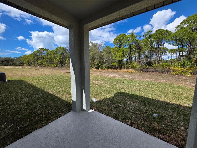 Exterior details and patio area of a home in Magnolia Bay - Classic Series, Nokomis (Image 14).