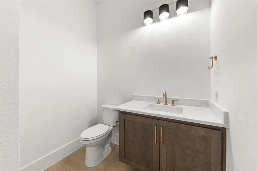 16. 3209 Canonero - Powder