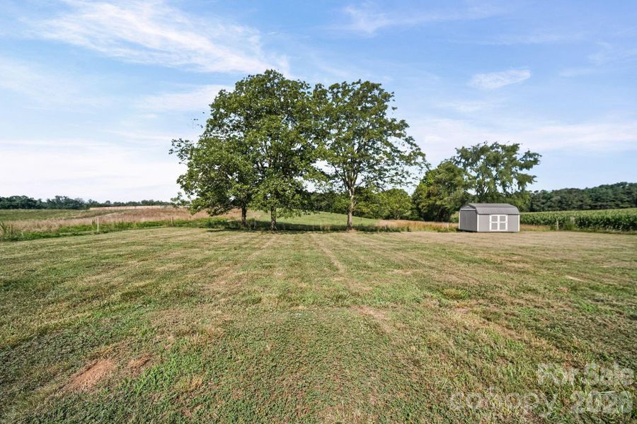 Natural landscape and outdoor views near  in Polkton (Image 46).