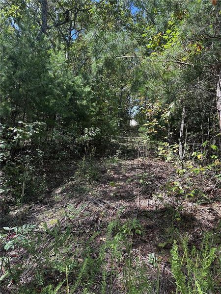 Natural landscape and outdoor views near  in Jasper (Image 24).