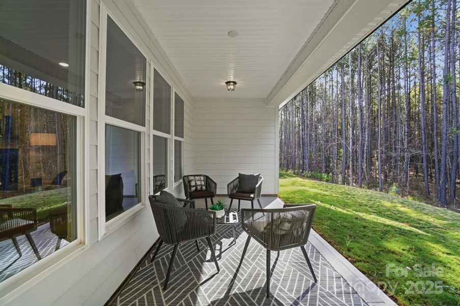 Exterior details and patio area of a home in Rone Creek, Waxhaw (Image 25).