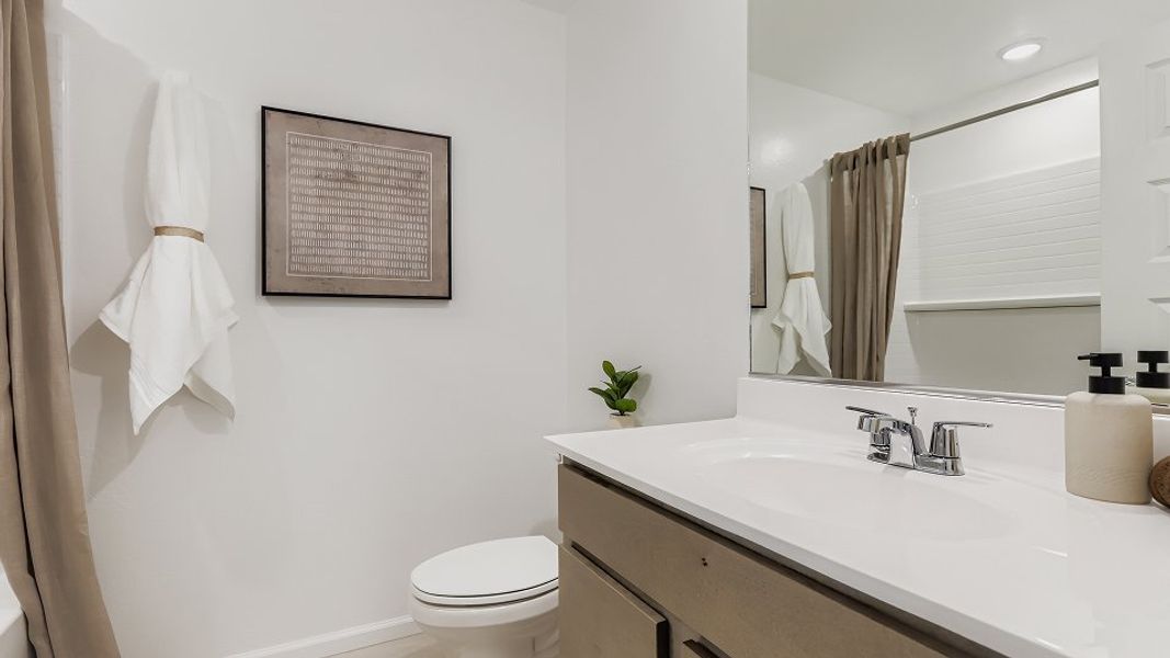 2567 Dahlia Bath2 1of2 F1 2567 Dahlia Bath2 1of2 F1