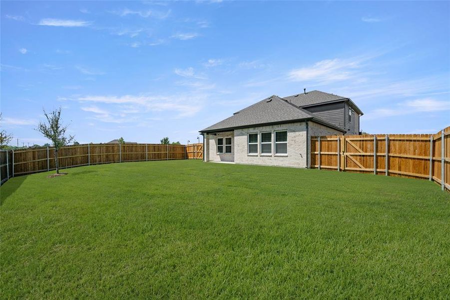 1850 SIlver Birch- Back-1