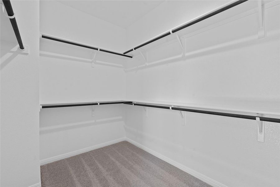 Spacious closet with light carpet