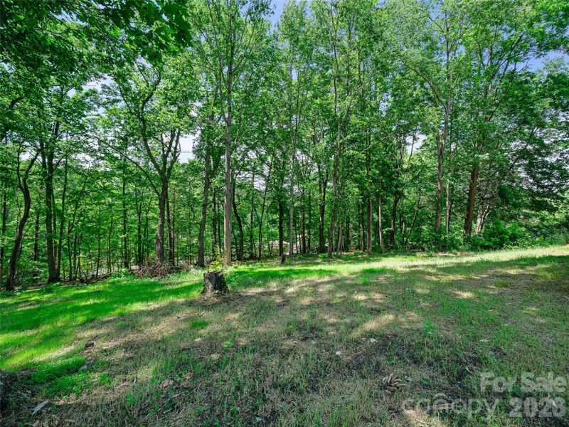Natural landscape and outdoor views near  in Marion (Image 29).