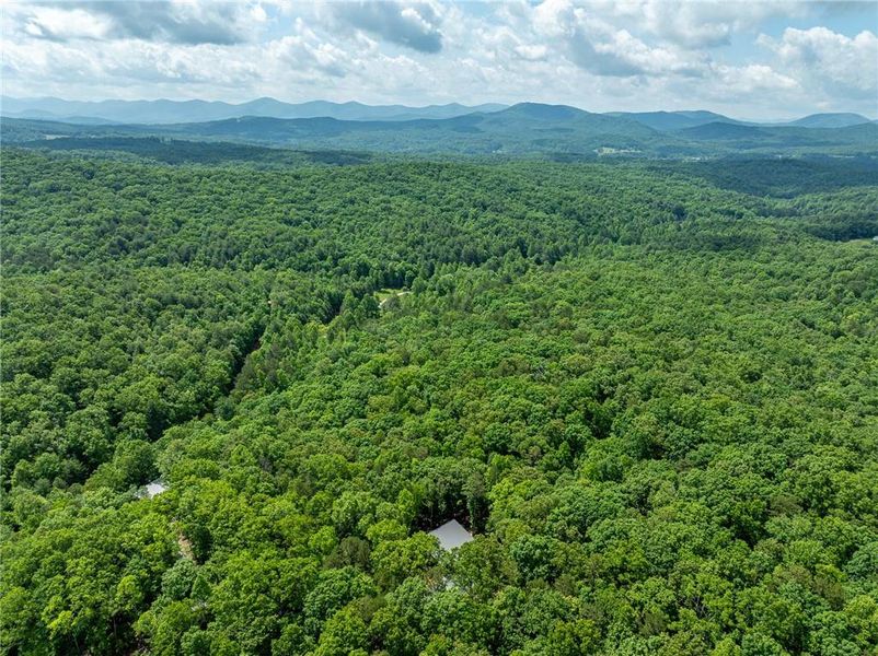 Natural landscape and outdoor views near  in Morganton (Image 36).